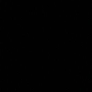 Meet your Posher, Gabby